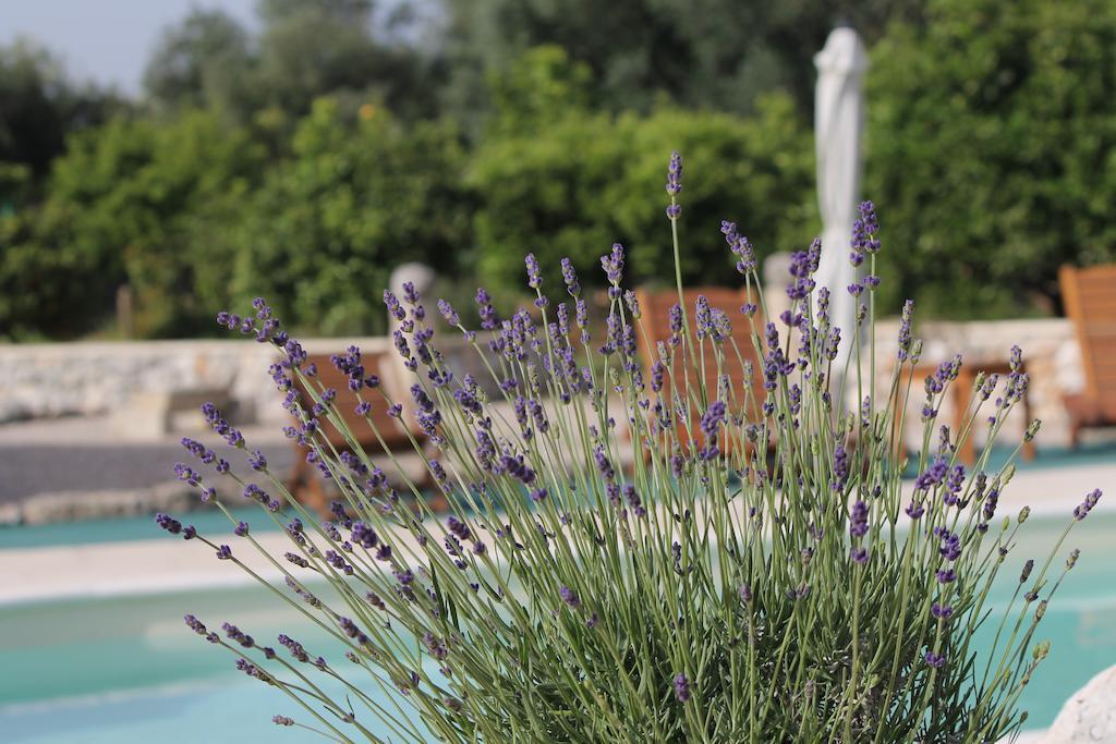 Agriturismo Masseria Saittole Carpignano Salentino Luaran gambar